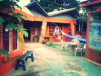 Photos of Hammock House Hostel