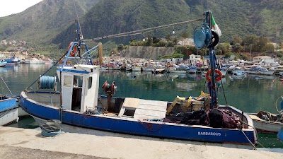 Photos of Port de Ziama