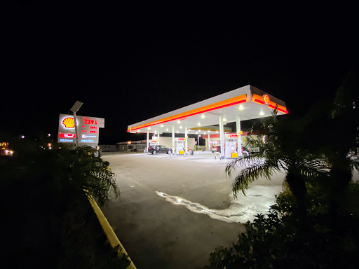 Gulfport Shell - Visual