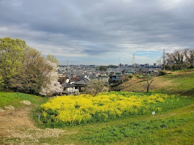 ドレミの丘公園