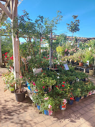 Photo n°25 de GAMM VERT à Issoire (Pépinière)