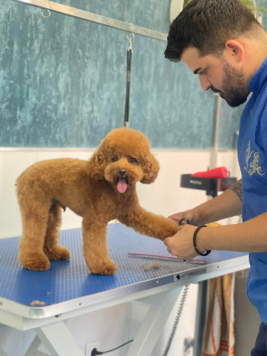 Clínica Veterinaria INDALET - Thumbnail