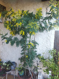 Photo n°9 de Aux deux colombes à Padirac (Chambre d'hôtes)