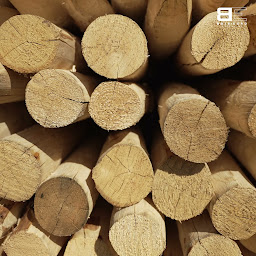 Photo n°2 de Bois Expo Distribution - Angers à Beaucouzé (Fournisseur de revêtements de sol en bois et stratifiés)