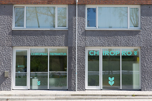 Chiropro - Visual