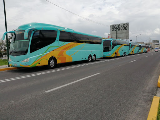 Servicios Turismo Campiran - Thumbnail