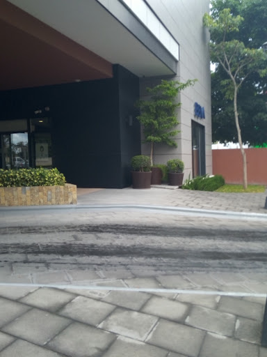 BBVA Bancomer TAMPICO OFNA. PRINCIPAL - Thumbnail