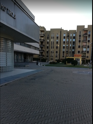 Back School - Visual