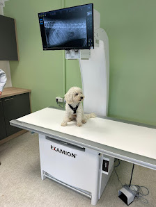 Bild: Tiergesundheit an der Saar GmbH Alle