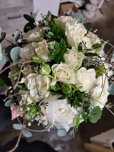 Kellerblüte - Visual