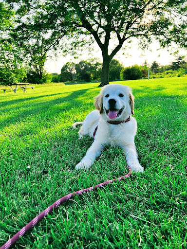Meadowbrook Veterinary Clinic - North - Thumbnail