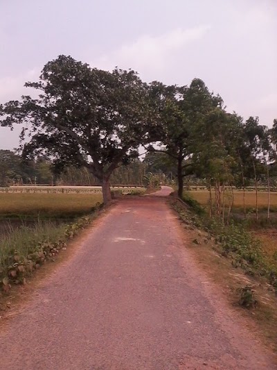 Photos of Arambazar, Gonokpara
