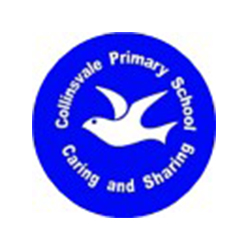 Collinsvale Primary School - Thumbnail