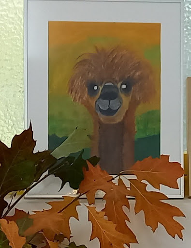 RadeLandlädchen - Visual