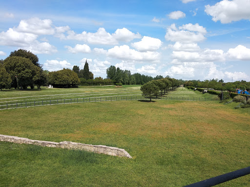 Teodorico Park - Visual