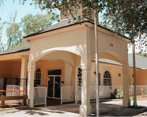 Bluffs School - Visual