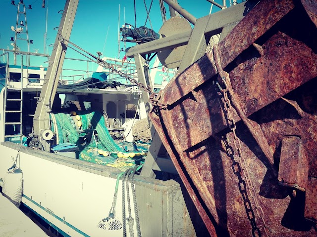 Cofradía de Pescadores de Denia