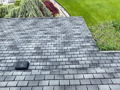 Roof Cleaning and Roof Washing