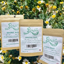 Photo n°31 de FLOWERS POWER CBD HAGUENAU à Haguenau (Boutique de cigarettes électroniques)