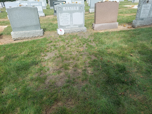 Beth Israel Cemetery - Thumbnail