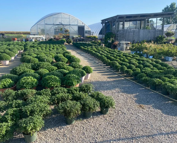Serenity Gardens