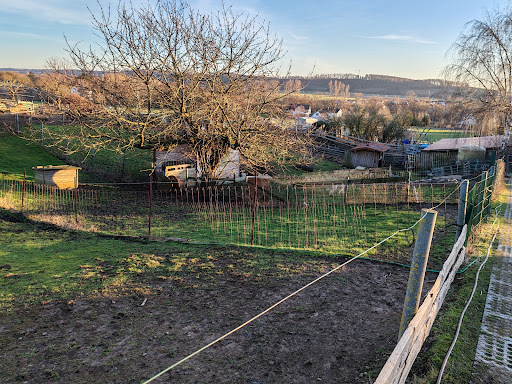 arche park wulften - Visual
