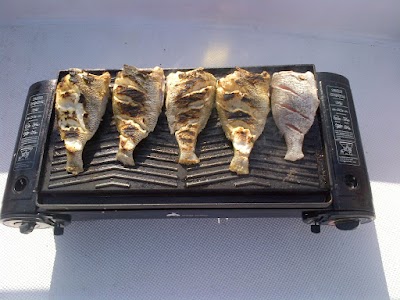 Photos of Deep Sea Fishing in dubai/yachts trips & boats RentalDeep Sea Fishing