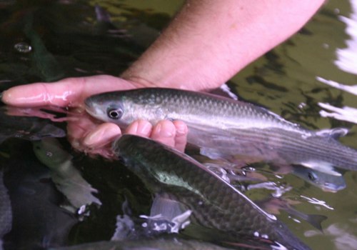 Lyme Regis Marine Aquarium
