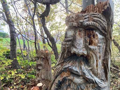 Der Zauberwald
