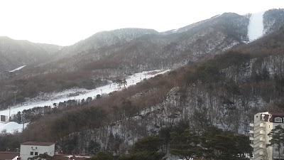 Photos of 덕유산리조트가족호텔민들레동마트
