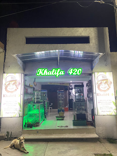 Khalifa 420