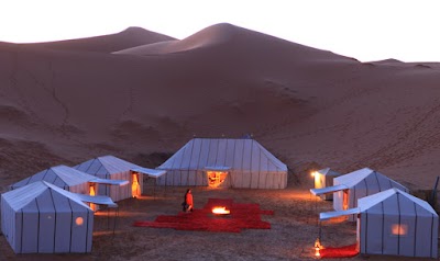 travel-agency