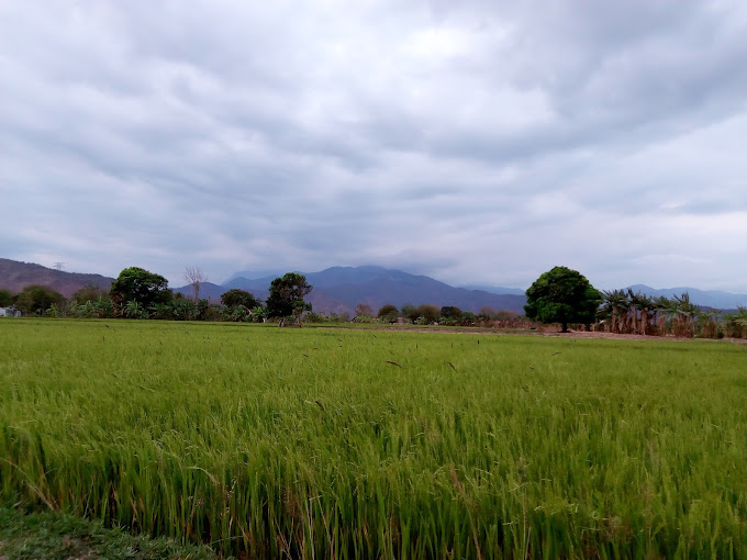 Trung Tâm Y Tế Huyện Bác Ái, Thôn Tà Lú, Bác Ái, Ninh Thuận