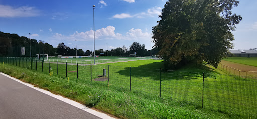 Pfaffenaustadion - Thumbnail