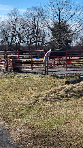 Oak Ridge Equestrian at Hope Lock Farm - Thumbnail