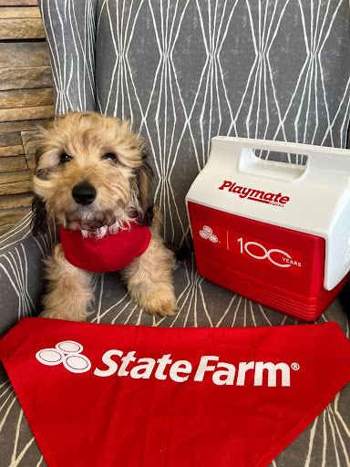 Rich File - State Farm Insurance Agent Gallery - United States
