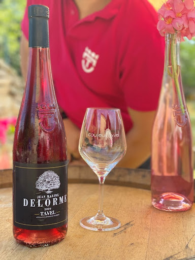 Photo de LA VILLA D'AMBRE à Tavel (30126)