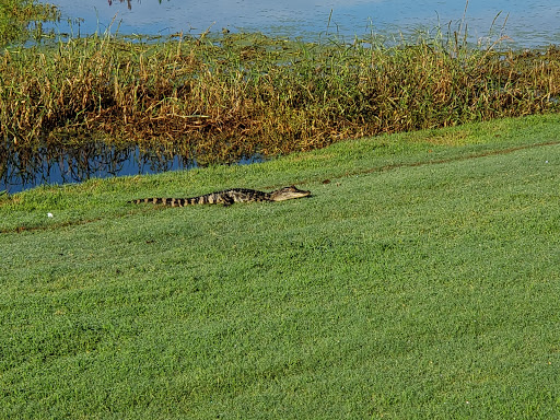 Oak Island Golf Club - Thumbnail