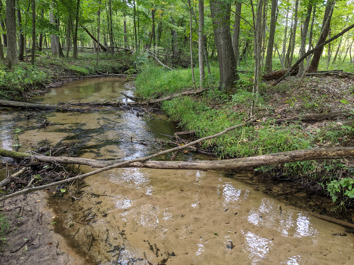 Maher Audubon Sanctuary - Thumbnail