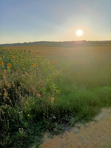 Vía verde Mairena del Alcor - Thumbnail