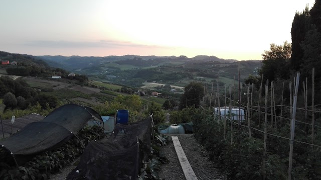 Agriturismo Apollinare