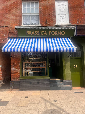 Brassica Forno by null