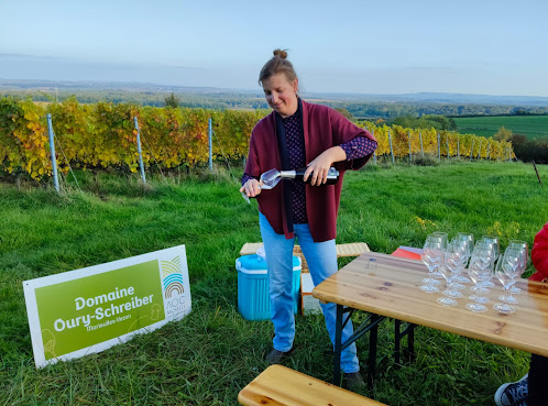 Domaine Oury-Schreiber by null