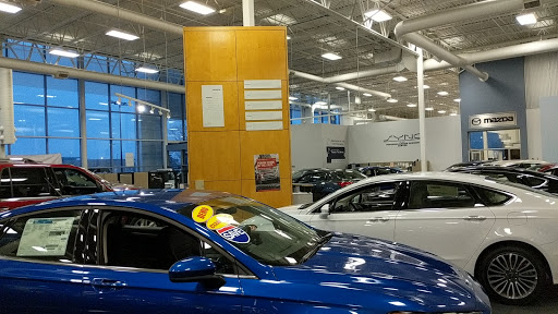 Fox Ford - Visual