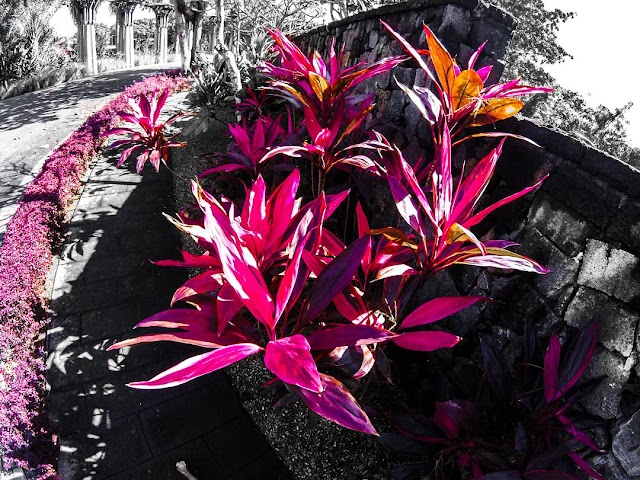 La Cuvette Public Beach