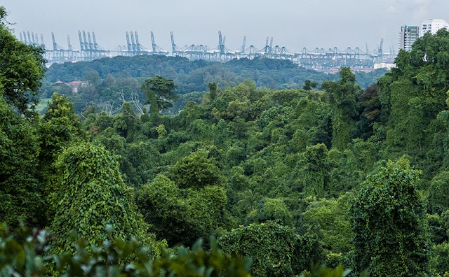 Mount Faber Photo View