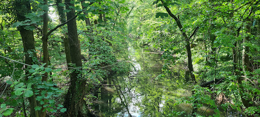 Schleuse Heegermühle - Thumbnail