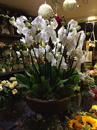Photo n°14 de DECO FLEURS à Fontainebleau (Boutique de cadeaux)