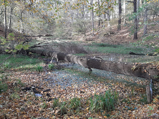 ParkourNatur - Thumbnail