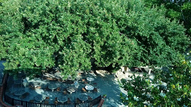 Nepheli Ηotel Ανοιχτές ώρες